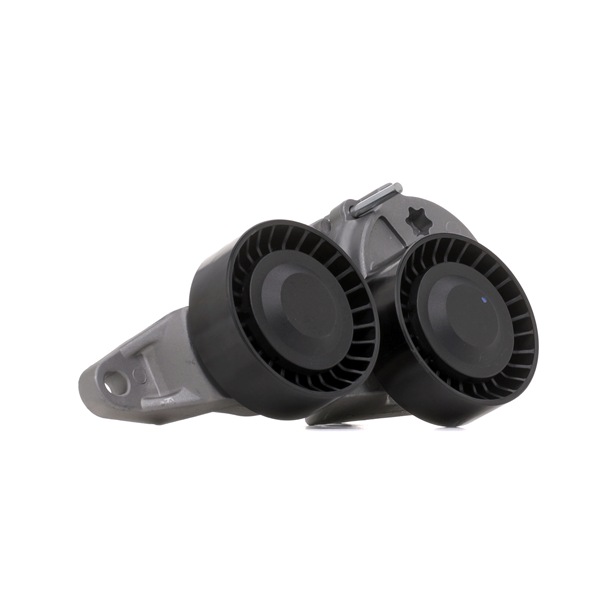 Compre Rolo tensor, correia trapezoidal estriada da RIDEX 310T0054 a um preço baixo por 29,89 €