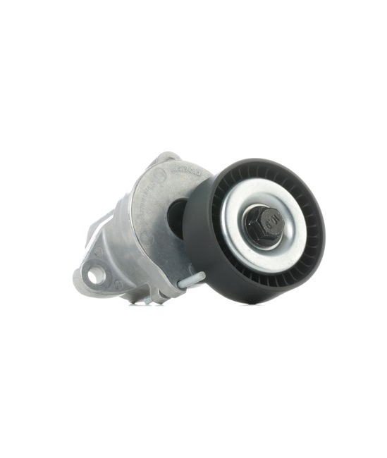 Spannrolle, Keilrippenriemen 310T0107 OPEL von RIDEX