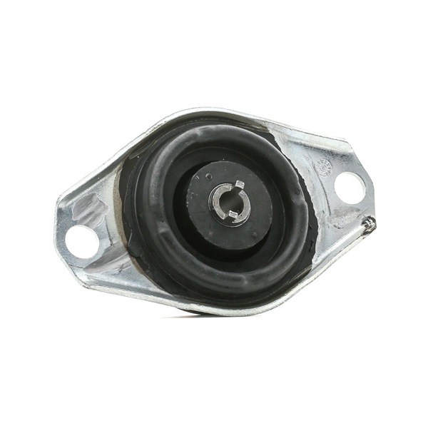 Acquista Supporto motore da RIDEX 247E0194 a buon mercato per soli 28,32 €