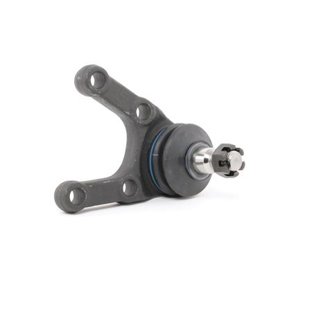 Compre Rótula de suspensão da RIDEX 2462S0196 a um preço baixo por 19,49 €