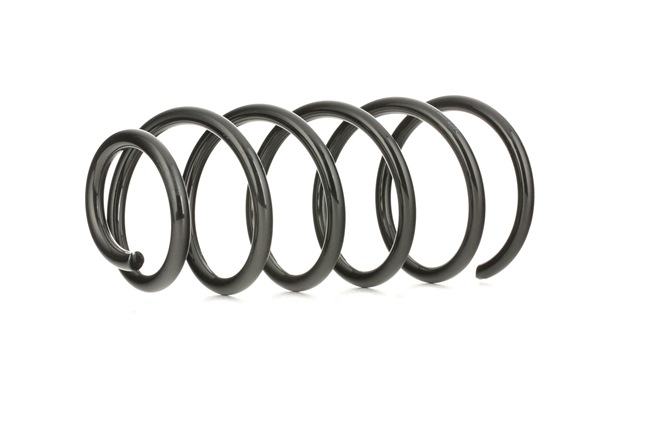 Federn von RIDEX für GOLF III Variant (1H5) günstig online kaufen