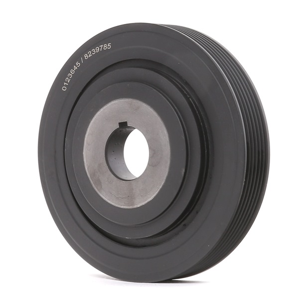Achetez des Poulie damper de chez STARK en ligne pour C5 I Break (DE) à prix modérés