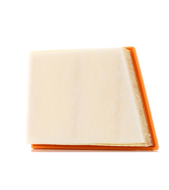 Luftfilter von PURFLUX A1719