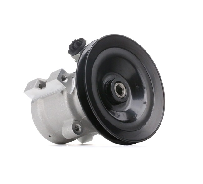 Achetez des Pompe de direction assistée STARK SKHP-0540073 à prix pour 114,56 €