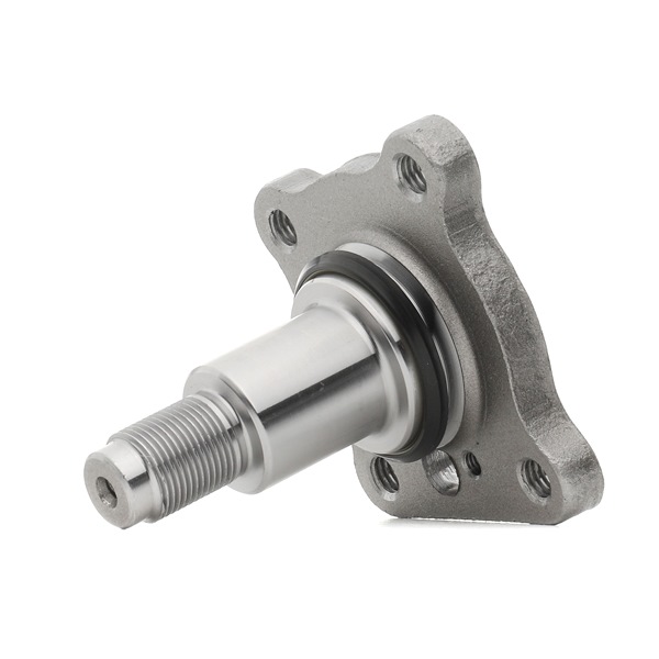Radnabe SKWB-0180858