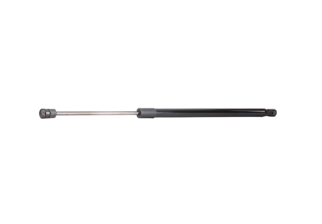 Heckklappendämpfer 219G0396 von RIDEX günstig für 12,81 € online kaufen