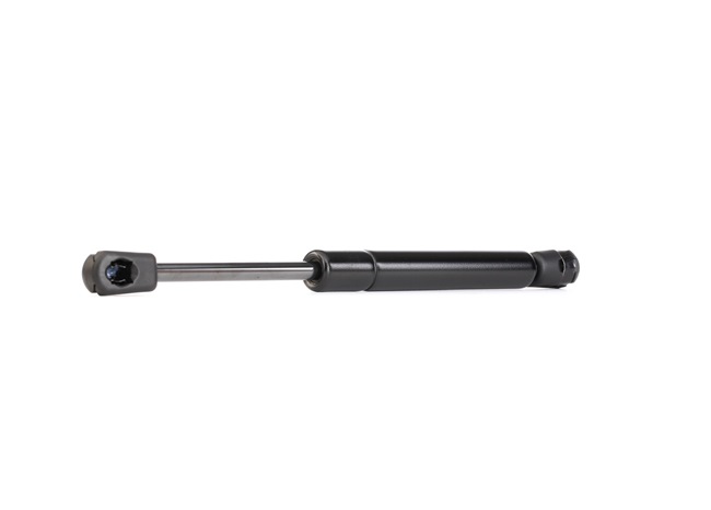 Compre Amortecedor da mala da RIDEX 219G0541 a um preço baixo por 9,36 €