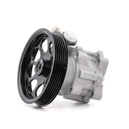 Osta Ohjaustehostimen pumppu STARK:llä SKHP-0540119 edullisesti hintaan 90,30 €