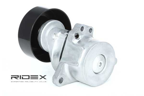 Spannrolle, Keilrippenriemen 310T0109