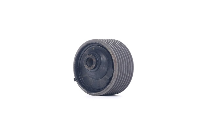 Acquista Supporto, Sospensione motore da TEDGUM 00135541 a buon mercato per soli 22,54 €