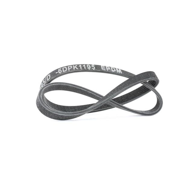 Acquista Cinghia servizi da MEYLE 050 006 1195/D a buon mercato per soli 20,11 €