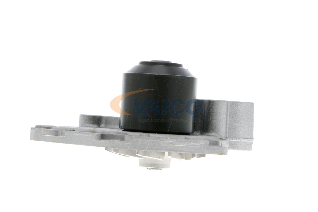 RENAULT Wasserpumpe von VAICO