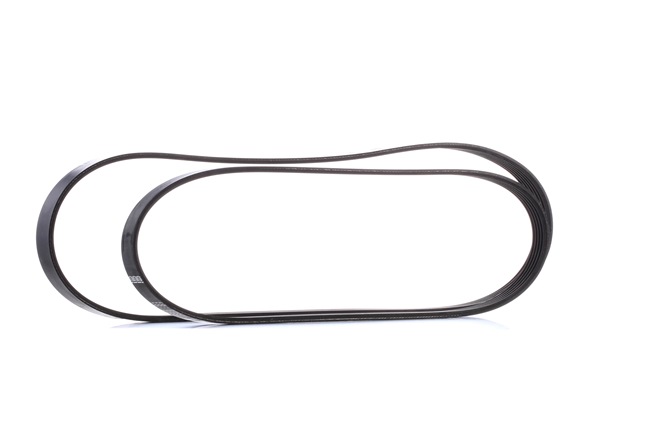 Keilrippenriemensatz von BOSCH für Focus C-Max (DM2) günstig online kaufen