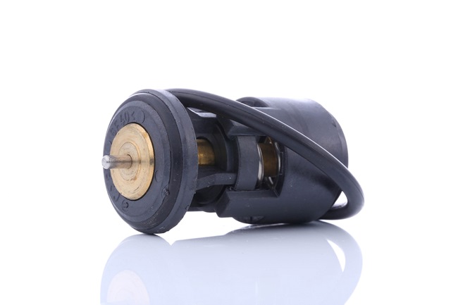 Compre AUTOMEGA Termostato, refrigerante Art.: 160044810 online