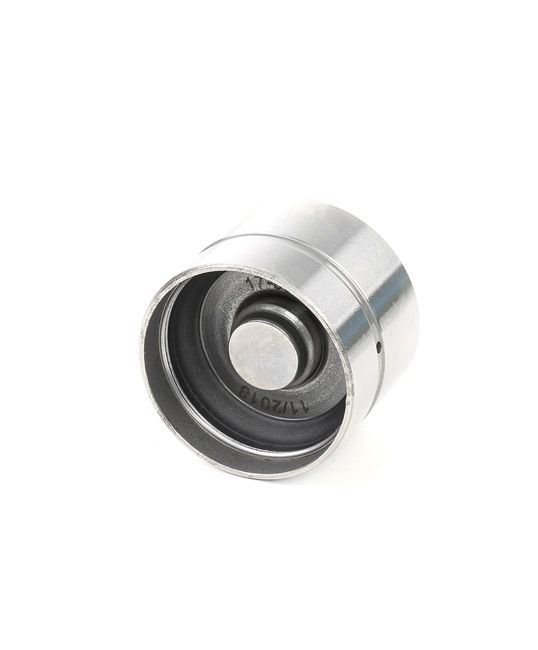 Osta MAXGEAR Venttiilinnostin netistä Phaeton (3D1, 3D2, 3D3, 3D4, 3D6, 3D7, 3D8, 3D9)-mallille edulliseen hintaan