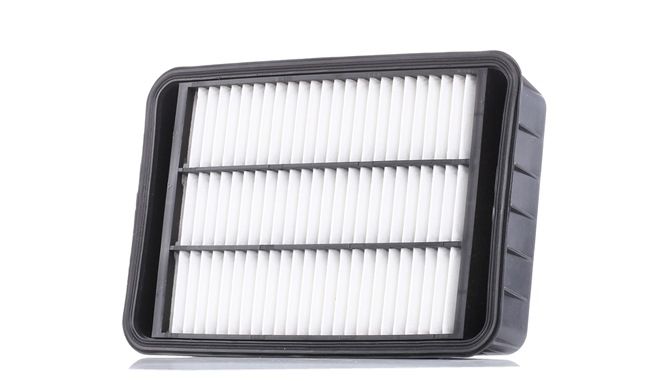 Luftfilter von AUTOMEGA 180034710