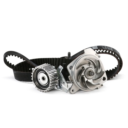 Achetez des Kit de distribution + pompe à eau METELLI 30-0621-1 à prix pour 120,93 €