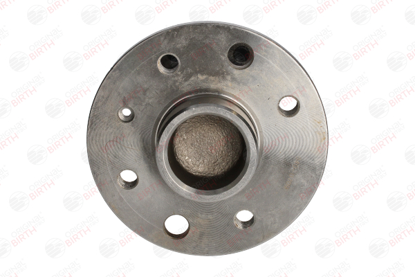 Compre Cubo da roda da BIRTH 3423 a um preço baixo por 156,72 €