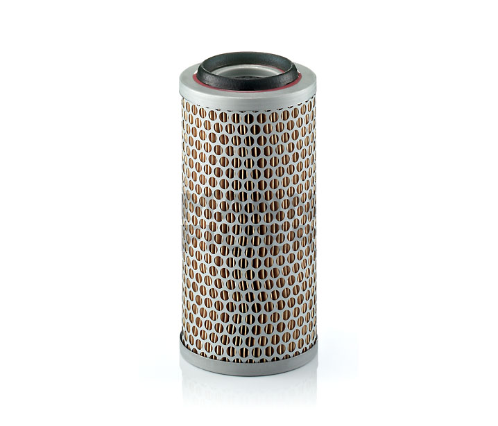Acquista online MANN-FILTER Filtro aria Art.: C 1176/3