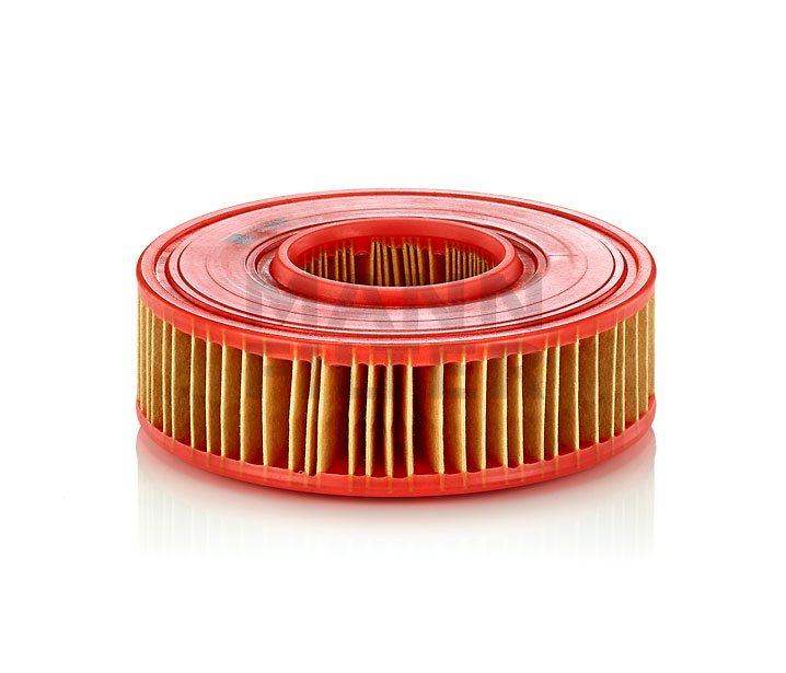 Luftfilter C 1417