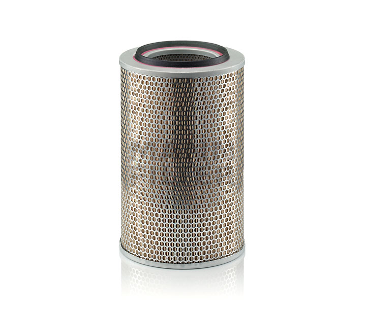 Acquista online MANN-FILTER Filtro aria Art.: C 24 508