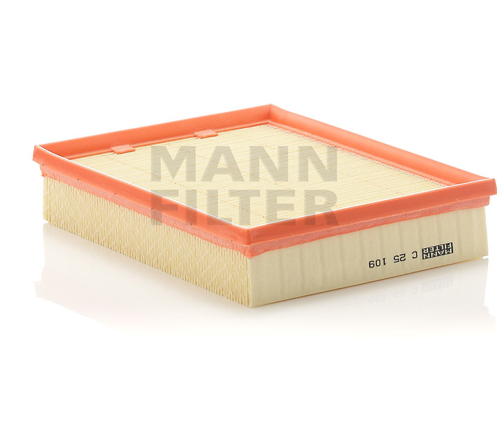 Køb MANN-FILTER Luftfilter Art.: C 25 109 online