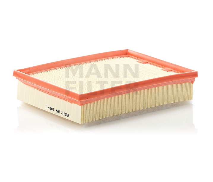 Køb MANN-FILTER Luftfilter Art.: C 25 109/1 online