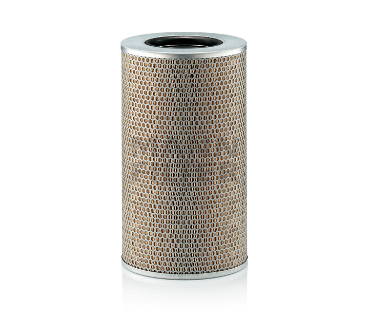 Acquista online MANN-FILTER Filtro aria Art.: C 25 860