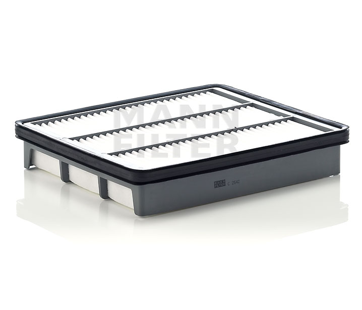 Luftfilter C 2542