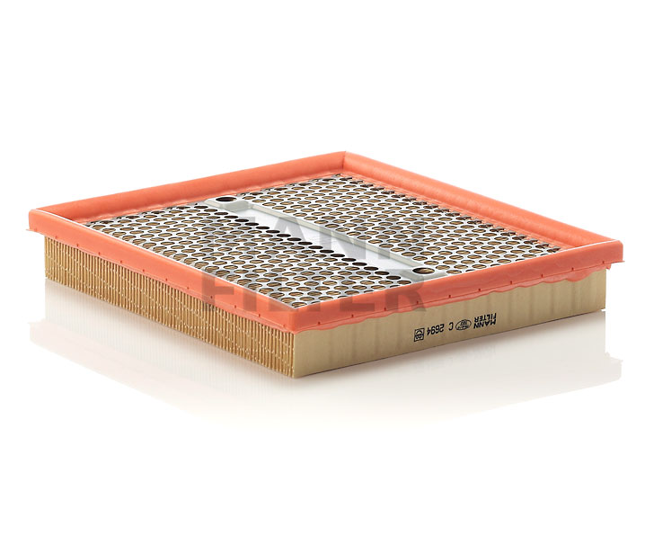 Acquista online MANN-FILTER Filtro aria Art.: C 2694