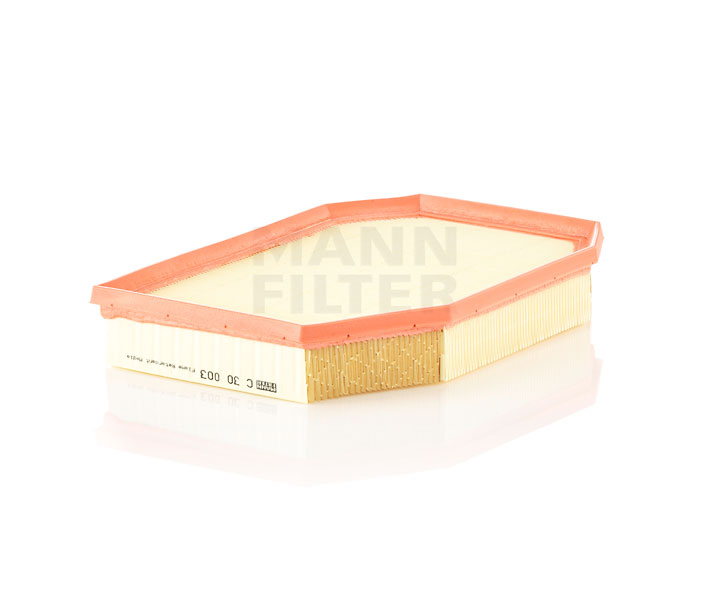 Online Shop für Luftfilter von MANN-FILTER EAN: 4011558012496