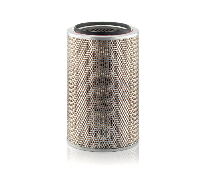 Acquista online MANN-FILTER Filtro aria Art.: C 30 1537