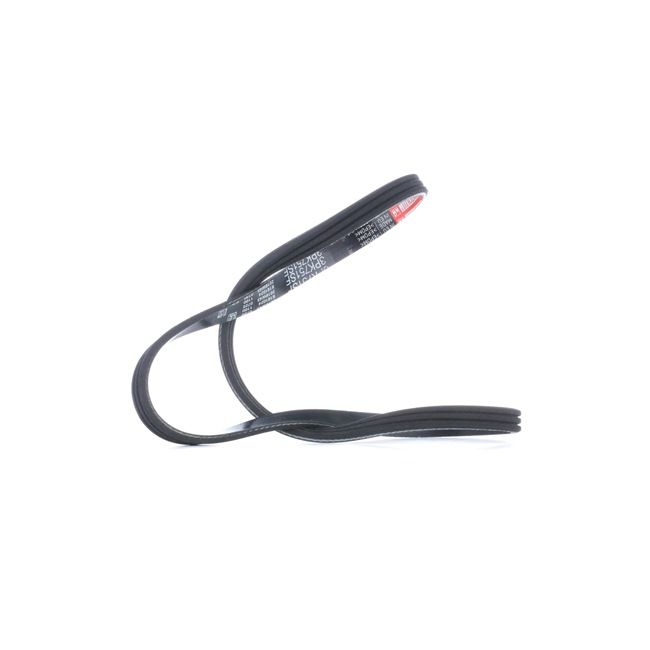 Acquista online GATES Cinghia servizi Art.: 3PK751SF