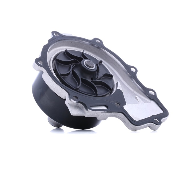 Wasserpumpe 48412