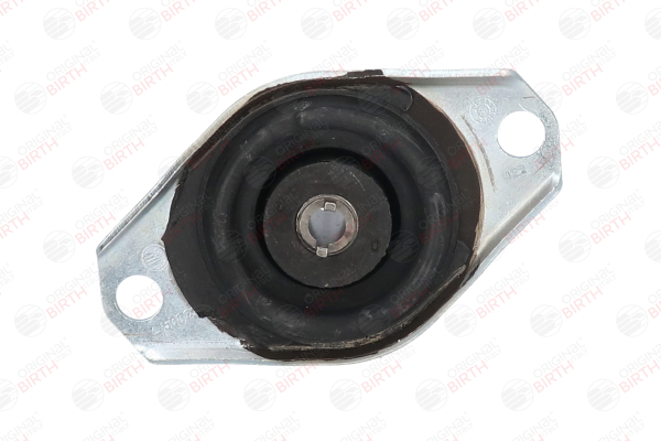 Motorlager 50073 von BIRTH günstig für 80,98 € online kaufen