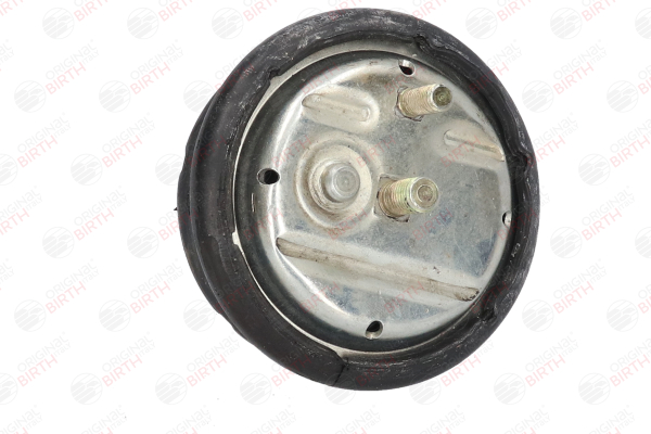 Motorlager 50417 von BIRTH günstig für 43,19 € online kaufen