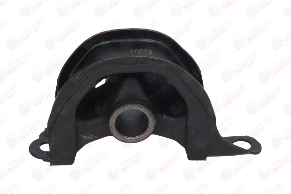 Compre Suporte, motor da BIRTH 50573 a um preço baixo por 17,45 €