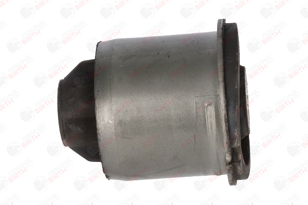Compre Bucha de eixo de BIRTH online para Megane IV Hatchback (B9A/M/N_) a preços moderados