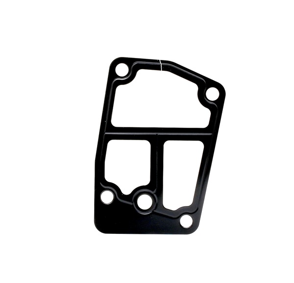 Acquista Guarnizione, Carter filtro olio da ELRING 161.911 a buon mercato per soli 4,86 €