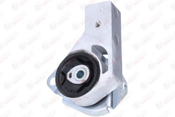 Lagerung, Differential 52019 FIAT PANDA von BIRTH