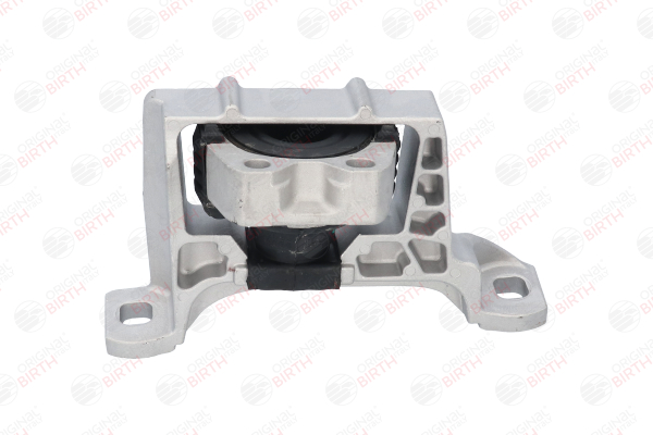 Motorlager 52055 von BIRTH günstig für 119,91 € online kaufen