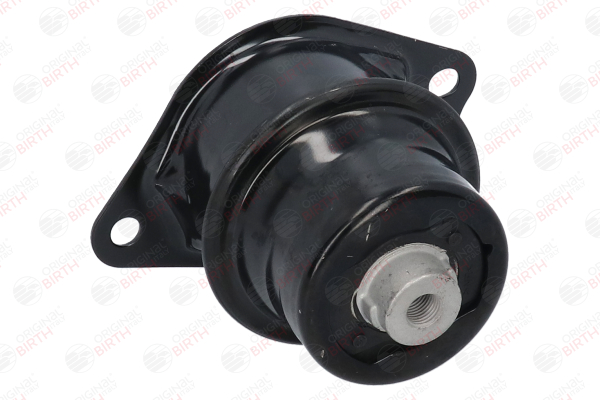 Compre Suporte, motor da BIRTH 52426 a um preço baixo por 139,96 €