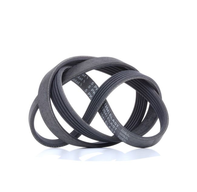 Achetez des Courroie Poly-V CONTITECH 5PK1236 ELAST à prix pour 18,98 €